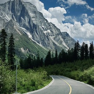 言嘉佑父子中秋免费看
